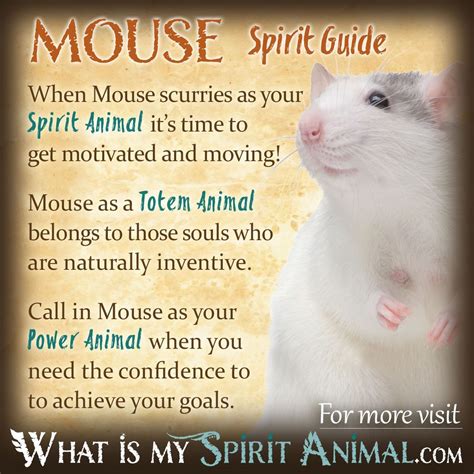 Animal Symbolism: Mice as Cultural Icons