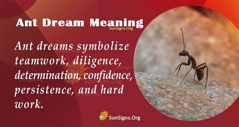 Ants in Dreams: Symbolism and Significance