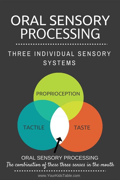 Anxiety and Stress: Revealing the Link to Oral Sensation Diminishment