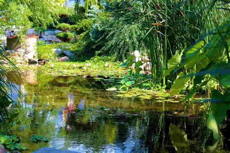 Aquatic Oasis: Decrypting the Significance of Water Gardens in Ancient Folklore