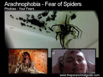 Arachnophobia or cryptic messages? The fear and symbolism behind spider dreams