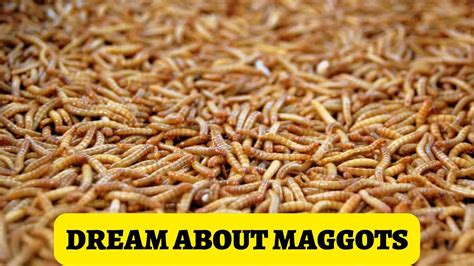 Are Maggots on Head Dreams a Warning Sign? Exploring Possible Meanings