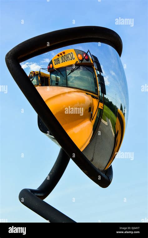 Are School Buses in Dreams a Reflection of Childhood Memories or Current Situations?