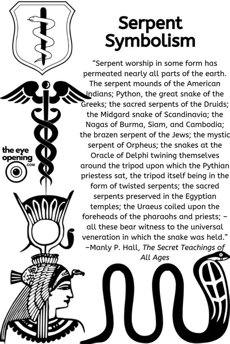 Are Serpent Visions a Sign of Personal Development or Anxiety?