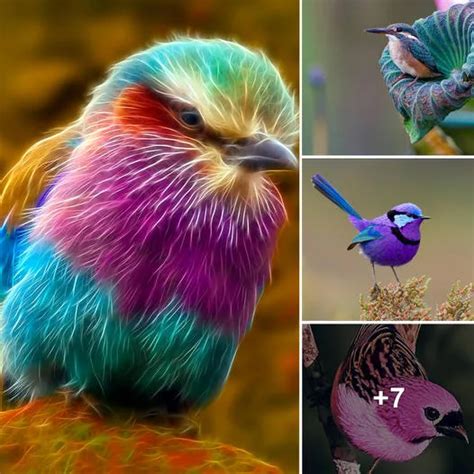 Artistic Explorations and Depictions of the Mesmerizing Avian Array