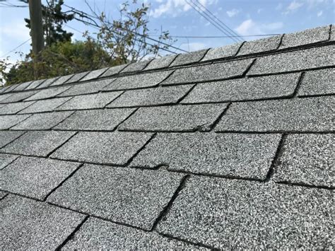 Assessing the Damage: Identifying the Extent of Roof Repairs