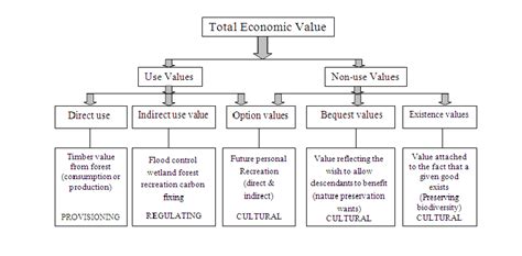 Assessing the Financial Success and Monetary Value of Franceska Fournier