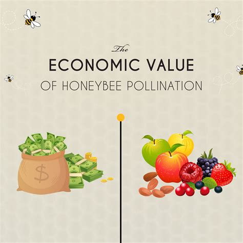 Assessing the Financial Value of Jeanny Bee