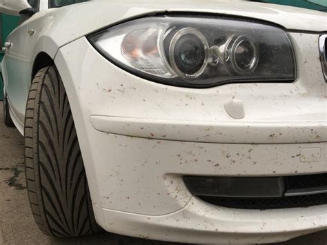 Assessing the Severity of the Blemishes on Your Vehicle