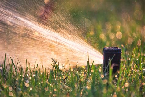 Avoiding Common Mistakes in Lawn Watering