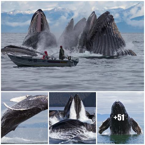 Awe-Inspiring Moments: Witnessing the Majestic Separation of the Sea