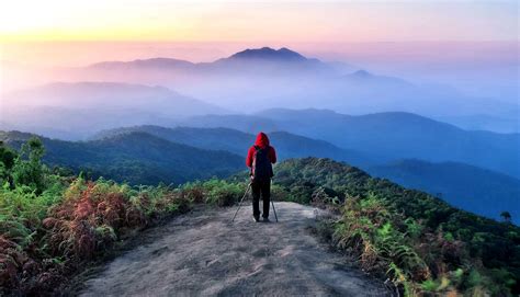 Awe-inspiring Moments of Observing an Intrepid Adventure