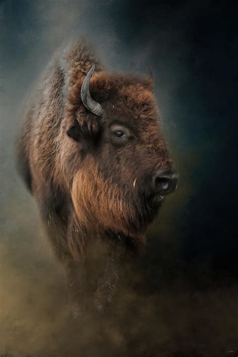 Awestruck by the Mighty Bison: A Quest to Witness True Natural Grandeur