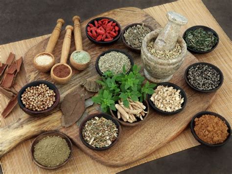 Ayurveda: Striking a Balance in Body, Mind, and Spirit through Ancient Indian Medicine