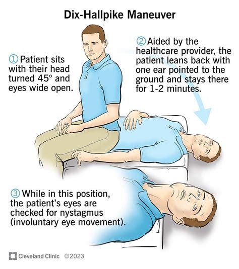 Back It Up: Navigating the Maneuver