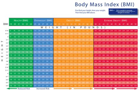 Background Information: Age, Height, Figure