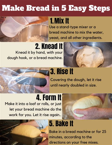 Baking Basics: A Step-by-Step Guide to Crafting Homemade Bread Masterpieces