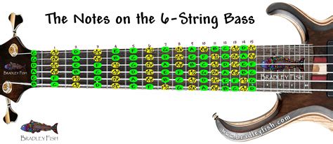 Become a Warrior on the Four Strings: A Guide to Tablature