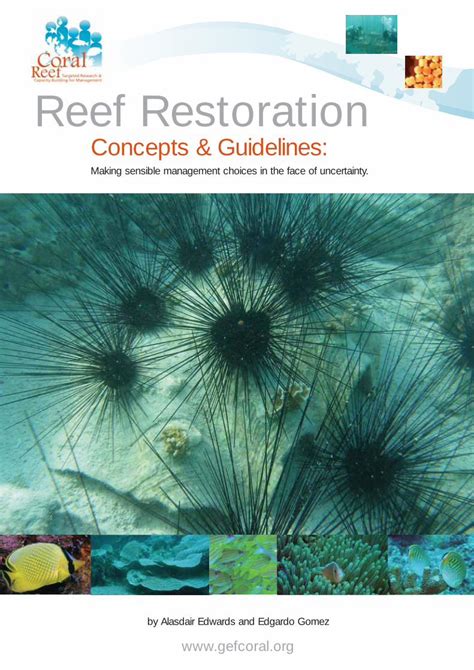 Beginners' Guide to Assisting and Restoring an Aquatic Environment