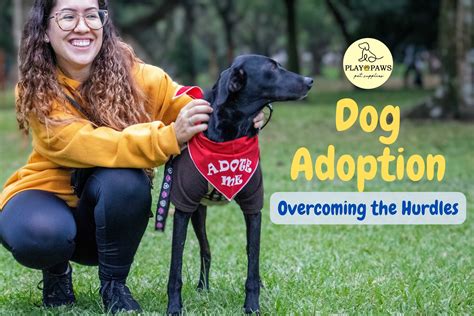 Behind the Scenes: Overcoming the Hurdles of Pet Adoption