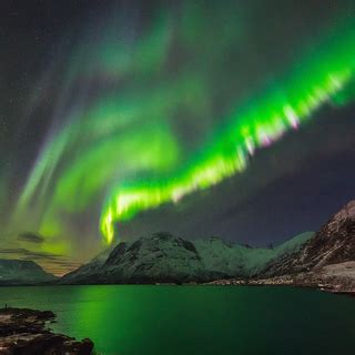 Behold the Mesmerizing Dance of the Enchanting Aurora Borealis