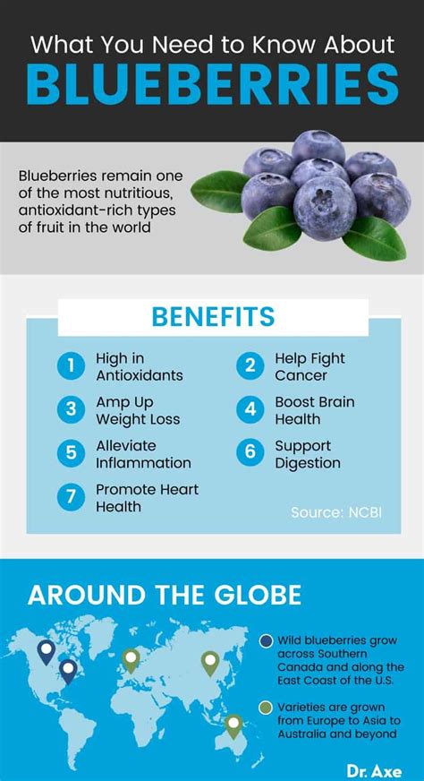 Benefits of Blueberry Harvesting for Your Health and Well-being