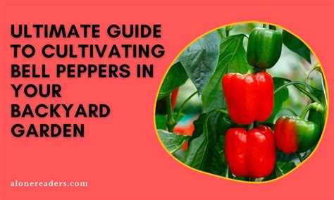 Benefits of Cultivating Tomatoes and Pepper in Your Backyard