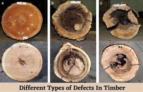 Beyond Decay: Exploring the Varied Symbolic Representations of Deteriorating Timber