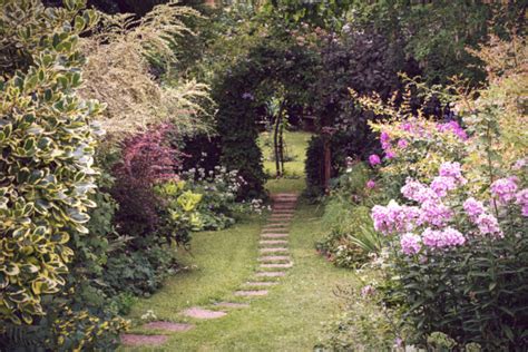 Beyond Flowers: Creating an Enchanting Garden with Trees, Shrubs, and Vines