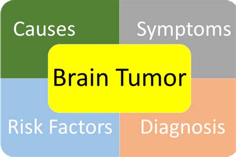 Beyond Genetics: Investigating the Risk Factors Associated with Brain Tumors