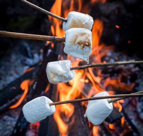 Beyond the Fire: Innovative Ways to Use Marshmallows in Cooking and Baking