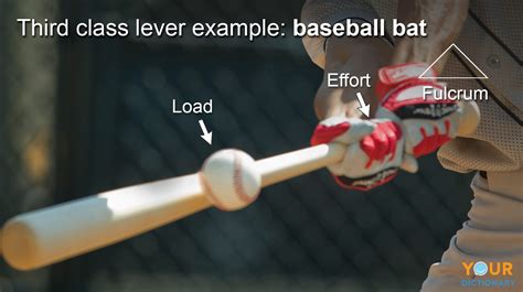 Beyond the Game: Surprising Applications of Baseball Bats in Everyday Scenarios