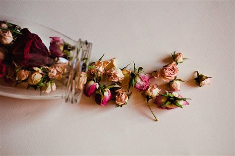 Beyond the Garland: Unique Ways to Showcase and Preserve Roses