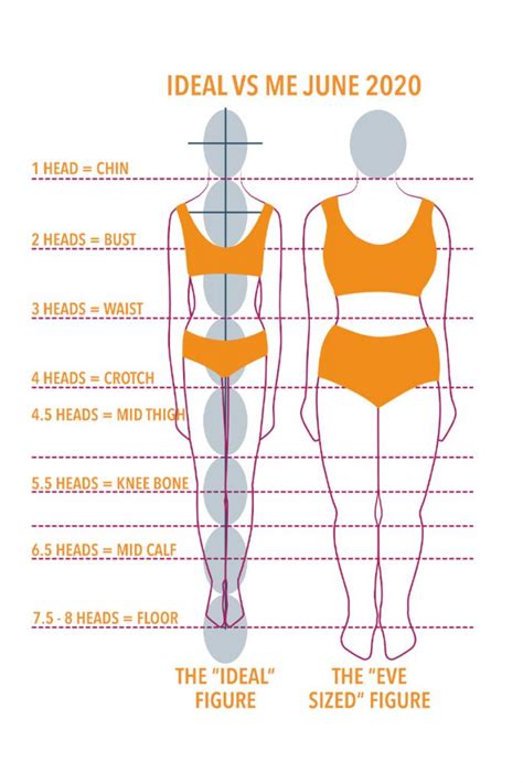 Beyond the Surface: Understanding Thallia's Body Measurements