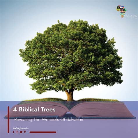 Biblical References in the Vision of the Tree of Salvation