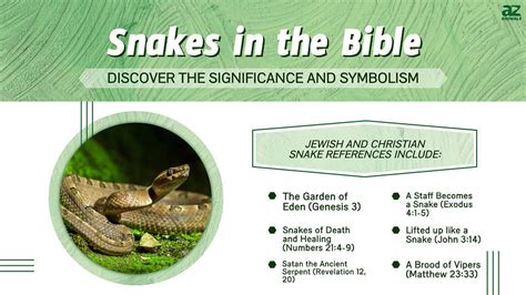 Biblical References to Serpents and their Significance in Dreams