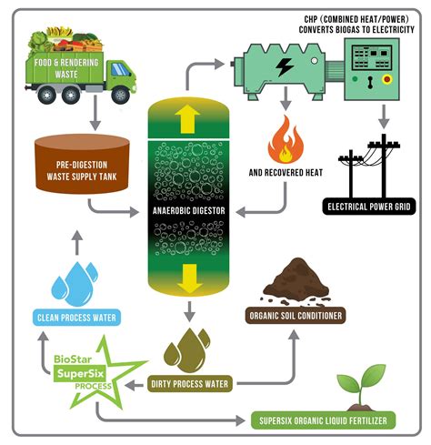 Biomass: Harnessing the Potential of Organic Waste for Energy