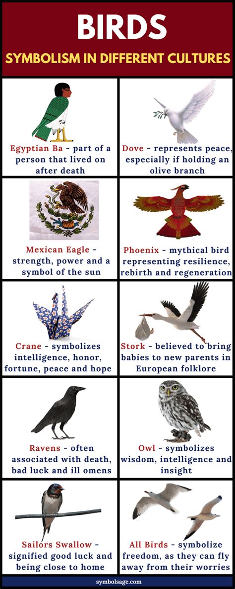 Bird Species and Their Varied Symbolic Representations