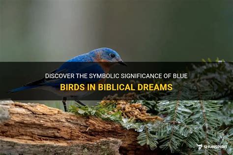 Birds in Dreams: Meaning and Significance