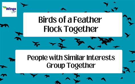 Birds of a Feather: Exploring the Significance of Flocks and Swarms in the Realm of Dreams