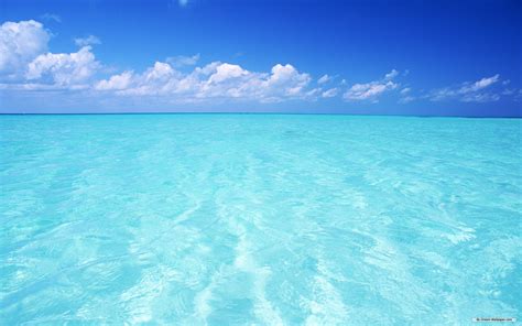 Blue Sky and Clear Waters: The Impact of Nature's Blues on our Emotional Well-being