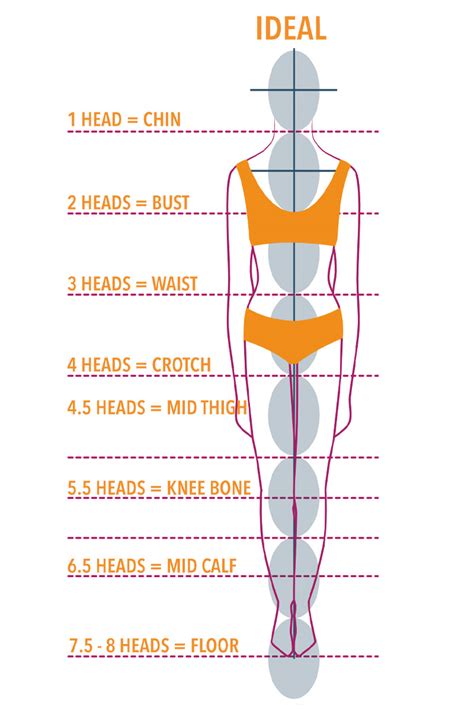 Body Measurements: Little Angel's Proportions