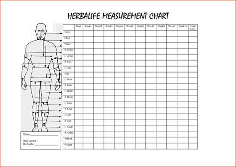 Body Measurements and Fitness: Height, Figure, and Health