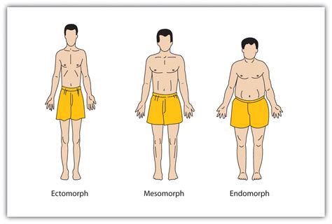 Body Measurements of a Prominent Personality
