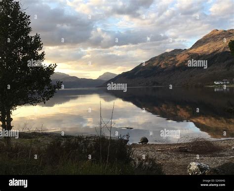 Bonnie Banks: A Fascinating Biography