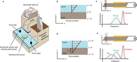 Breaking Barriers: Unraveling the Science of Gliding on Liquid Surfaces