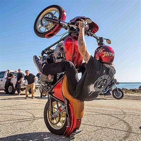 Breaking Stereotypes: Harley Ace Redefines Beauty Standards