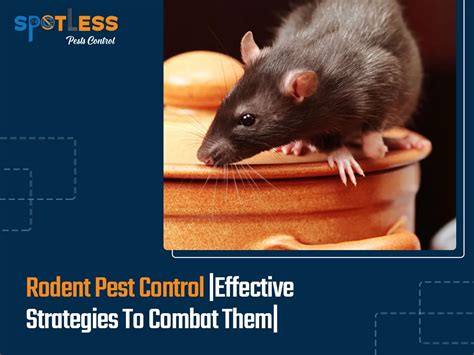 Breaking the Cycle: Effective Strategies for Eliminating Pesky Rodent Infestations