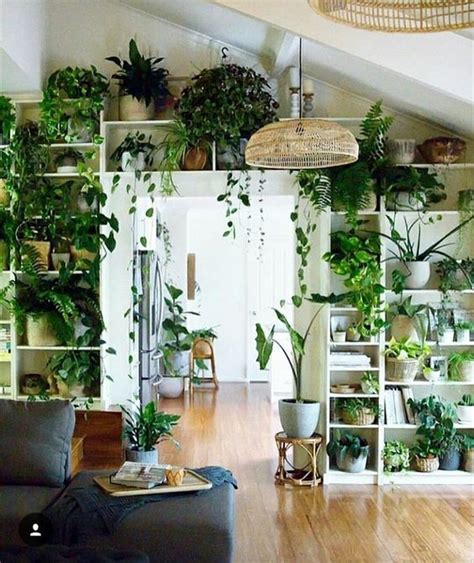 Bringing Nature Inside: Greenery in Compact Spaces