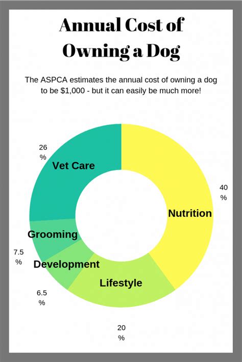 Budgeting for the Expenses of Dog Ownership